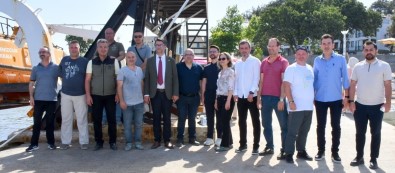 ÇOMÜ Tarafindan Yetistirilen Istakoz Yavrulari Denize Birakildi