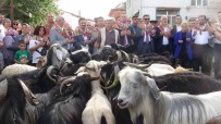 Isparta'da 400 Yildir Süren 'Geleneksel Kurban Indirme Gelenegi' Gerçeklestirildi Haberi