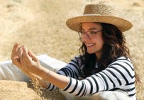 Mentese'de 'Karakilçik Bugday' Hasadi