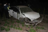 Otomobil Agaca Çarpip Sebze Bahçesine Girdi Açiklamasi 5 Yarali