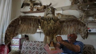 Sira Disi Koleksiyon Sasirtiyor