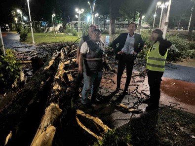 Tokat'ta Firtina Agaçlari Devirdi, Çatilari Uçurdu