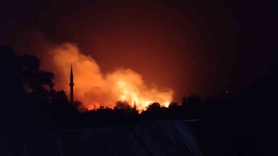Tokat'ta Yildirim Düsen Ekili Tarla Yandi