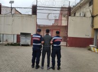 Jandarmadan Kuzu Operasyonu