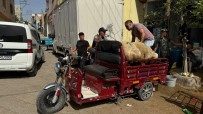 Kilis'te Kurbanliklar Sepetli Motosikletlerle Tasindi Haberi