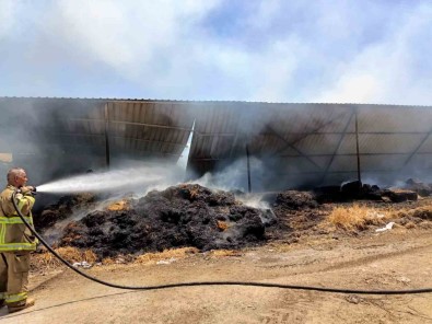 Manyas'taki Çiftlik Yangininda 52 Koyun Telef Oldu