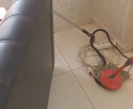 Ofise Giren Yilan Korku Dolu Anlar Yasatti