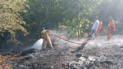 Bingöl'deki Orman Yangini Büyümeden Söndürüldü