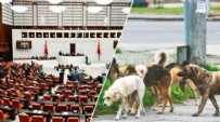 Sokak hayvanları düzenlemesinde sona doğru: Detaylar netleşiyor... Cezası 50 bin TL'ye çıkarılacak