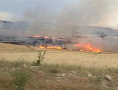 Tunceli'de Yildirim Ekili Alana Isabet Etti, Yüzlerce Dönüm Bugday Kül Oldu
