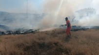 Bingöl'deki Yangin Ormanlik Alana Siçramadan Söndürüldü Haberi