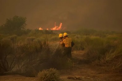 Bir orman yangını daha! 14 bin 625 dönümlük alan küle döndü