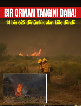 Bir orman yangını daha! 14 bin 625 dönümlük alan küle döndü