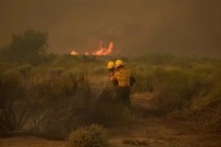 Bir orman yangını daha! 14 bin 625 dönümlük alan küle döndü