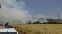 Gercüs'te 20 Dönüm Bugday Ve Arpa Tarlasi Yandi Haberi