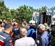 Yalova'da Vadiye Devrilen Traktörün Sürücüsü Kurtarildi Haberi