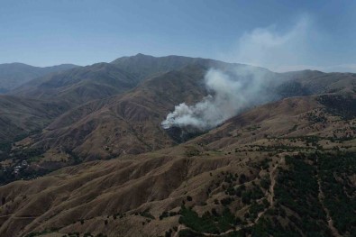 Bingöl'de Çikan Örtü Yangini Ormana Siçramadan Söndürüldü