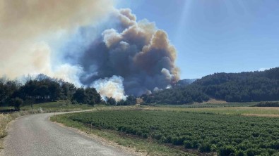 Eceabat'taki Orman Yangini Devam Ediyor
