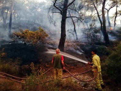 Izmir Büyüksehir, Orman Yanginlari Için Teyakkuza Geçti