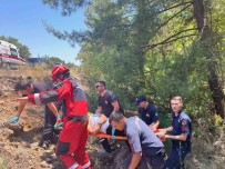 Köycegiz'de Kaza Açiklamasi 5 Yarali