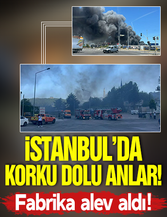 Tuzla'da fabrika yangını! Dumanlar gökyüzünü kapladı