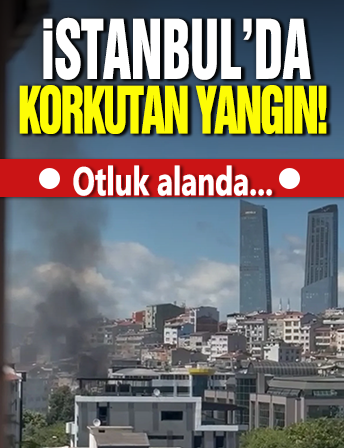 İstanbul'da korkutan yangın! Otluk alanda...