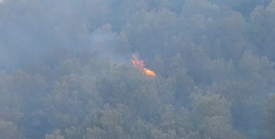 İzmir'de otluk alanda çıkan yangın kontrol altına alındı
