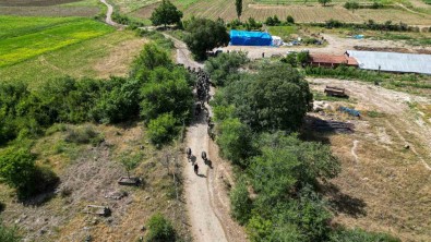 Afrika Degil Tokat Açiklamasi Tokat'ta Afrika Belgesellerini Andiran Görüntüler