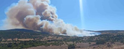 Çanakkale'de Çöplükte Baslayan Yangin Ormanlik Alana Siçradi