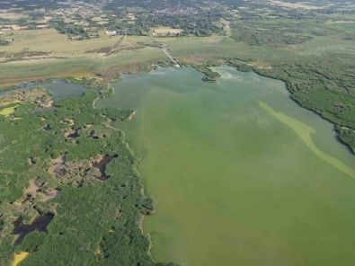 Eber Gölü'nde 'Küçülme' Tehlikesi Bas Gösterdi
