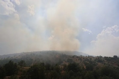 Elazığ'da orman yangını! Havadan ve karadan müdahale sürüyor