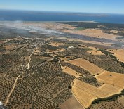 Ezine'de Tarim Arazisinde Baslayan Yangin Ormanlik Alana Siçramadan Kontrol Altina Alindi