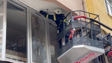 Yuvadan Düsen Yavru Kirlangica Itfaiye Yardimi