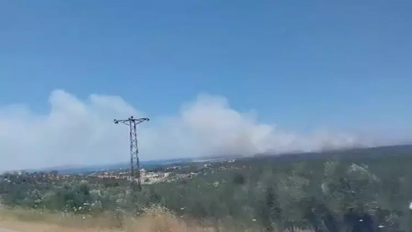 Çanakkale'de orman yangını çıktı!