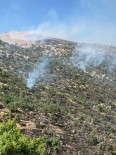 Siirt'teki Orman Yangini Kontrol Altina Alindi Haberi