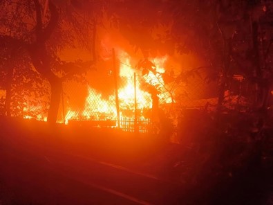 Sinop'ta 2 Ev, 2 Ahir, 1 Ambar Ve 1 Mobilya Atölyesi Yanarak Kül Oldu