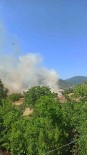 Sinop'ta Tarim Arazisinde Yangin Haberi