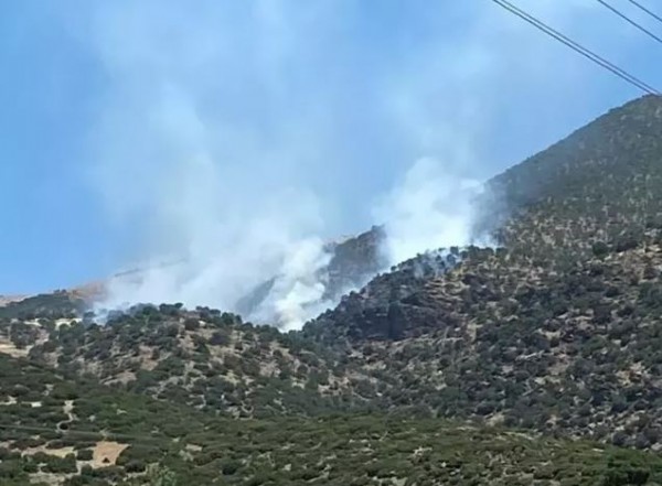Manisa'da orman yangını! Ekiplerin müdahalesi sürüyor