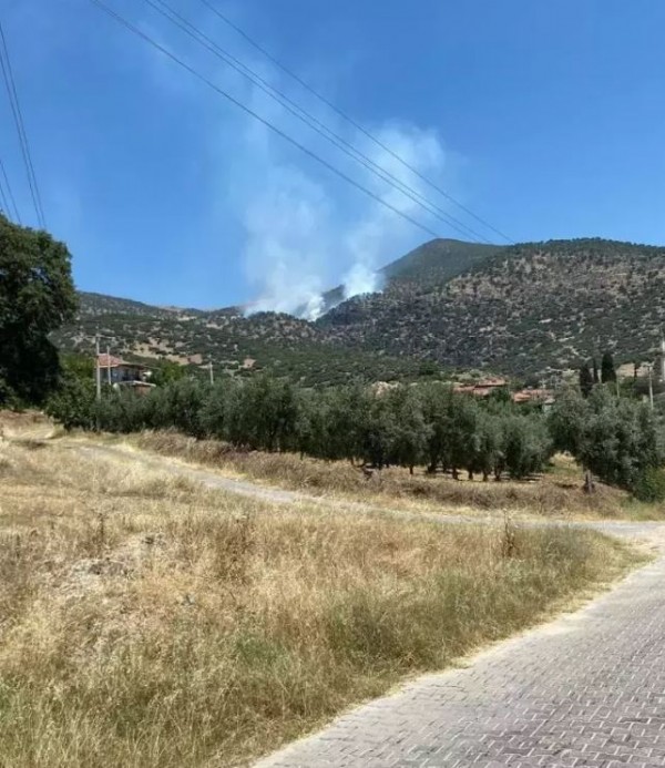 Manisa'da orman yangını! Ekiplerin müdahalesi sürüyor