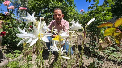 Bu Çiçegin Kolonyasi Bas Agrisini Gideriyor, Sabunu Gençlestiriyor
