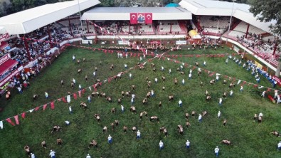 Kirkpinar'a Ziyaretçi Akini Açiklamasi Otellerde Yer Kalmadi