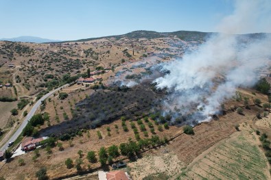 Manisa'da Makilik Alanda Yangin