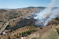 Manisa'da Makilik Alanda Yangin