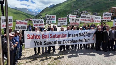 Sahte Anzer Bali Için Hukuki Süreç Baslatildi