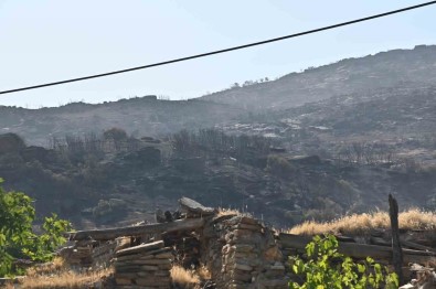 Manisa'daki Yanginlar Geçen Seneye Göre 2 Kat Artti