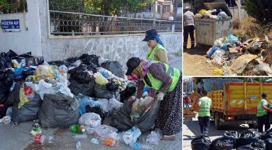 Tatilciler akın etti: Gözde tatil beldesinden 450 ton çöp çıktı