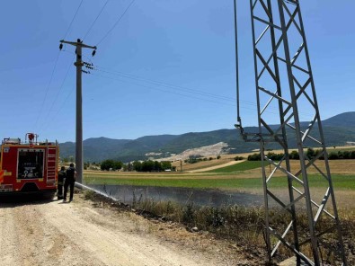 Trafodan Çikan Kivilcimlar Arpa Ekili Tarlayi Yakti