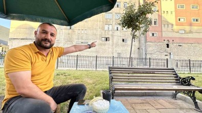 Yüzlerce Bal Arisi Sehir Merkezindeki Parki Mesken Tuttu