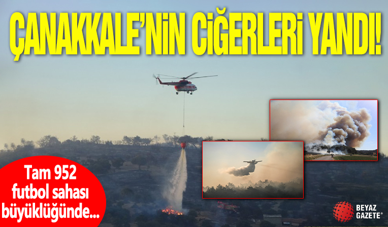 Çanakkale'nin ciğerleri yandı: Tam 952 futbol sahası büyüklüğünde alan küle döndü