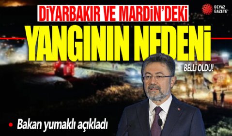 Diyarbakır ve Mardin'deki anız yangınının çıkış nedeni belli oldu